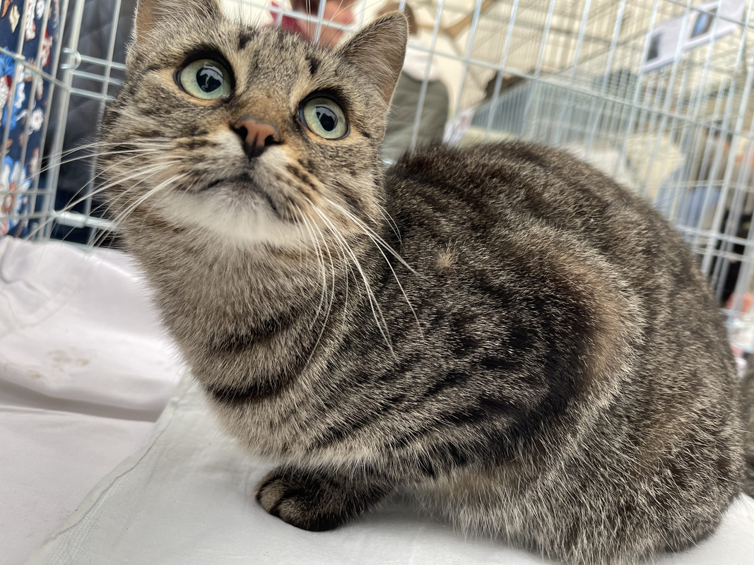 C88F1D35-6B04-41C2-AA75-609CBE497BDE