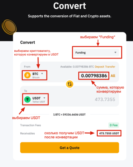 article content image