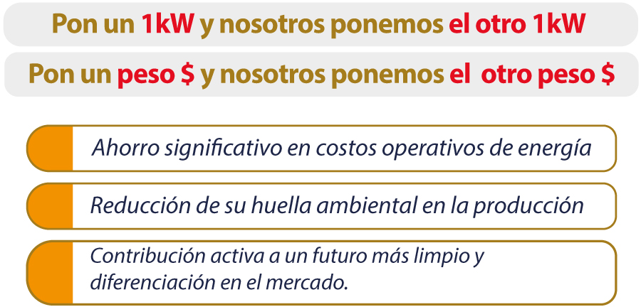 imag-Misol-1-1-texto-01