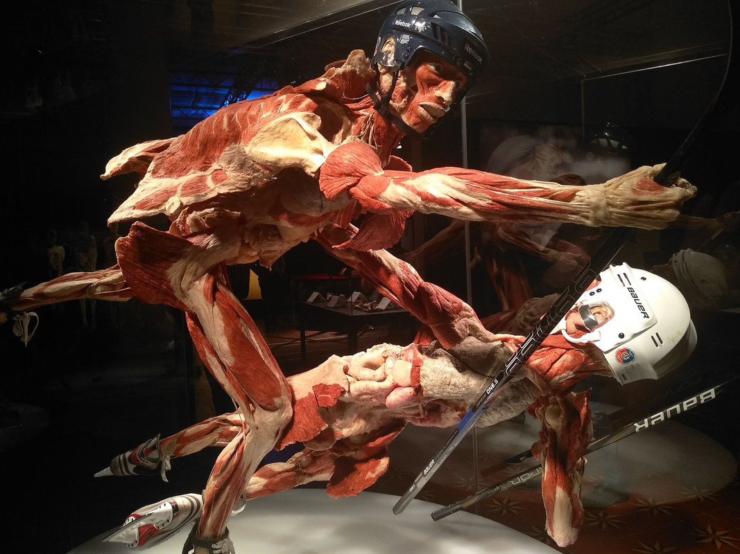 72893695_2332137810229303_6960422591148326912_n