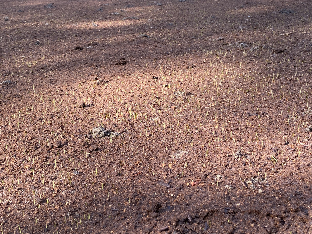 FE49FA5F-CDB6-45F9-946B-5DBAADCB2074