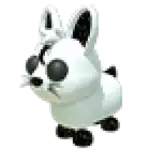 Moon Rabbit