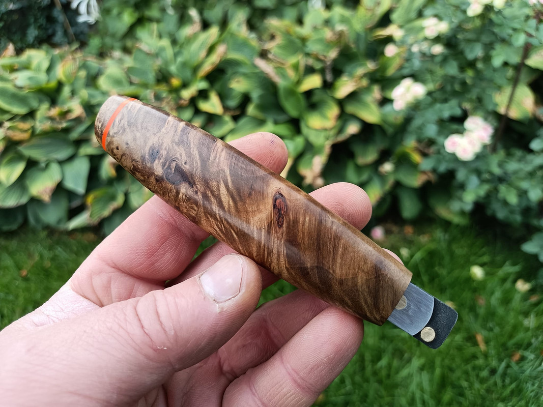 459301976_3603210226595341_5504172104725891341_n — копия