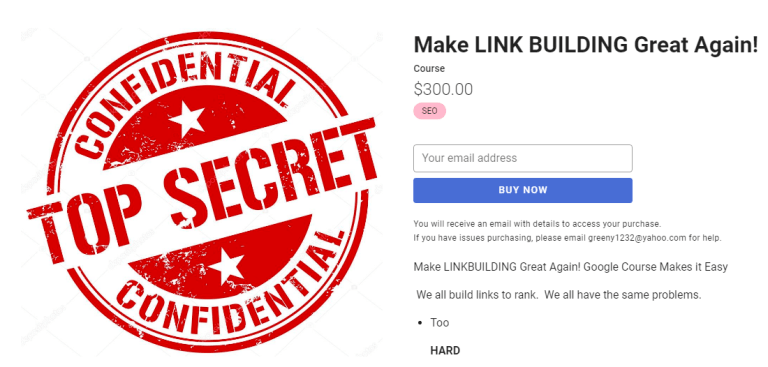 Holly Starks - Make LINK BUILDING Great Again!