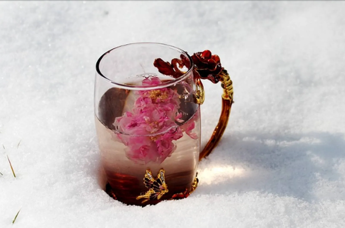 Estos son los maravillosos beneficios del toronjil morado