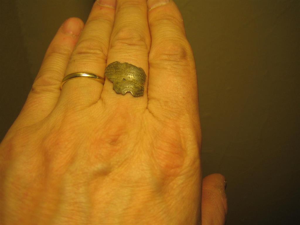 IMG_0304 (Medium)