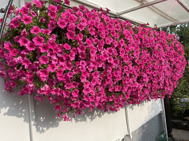 EF72CD6B-B564-43EB-89C5-1E659C820A68