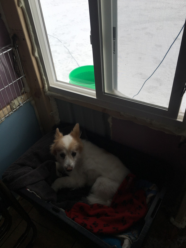 D6EF155B-07A4-41EE-AFED-FF5C00F36F81