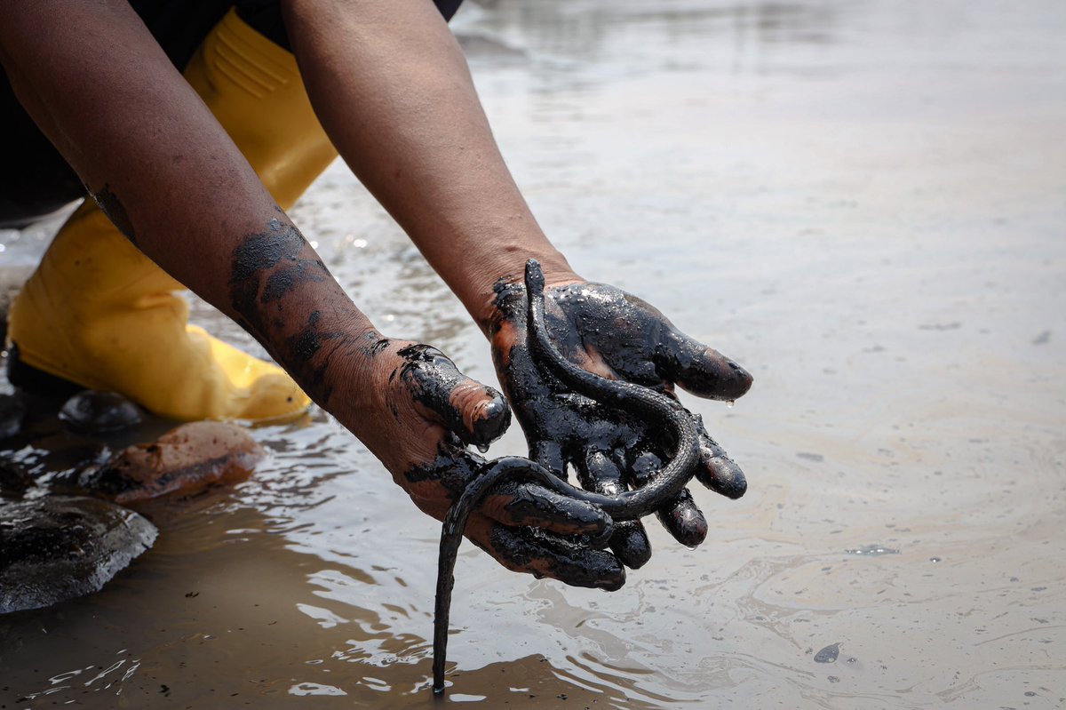 Ecuador dice que derrame de petróleo afectó área protegida en la Amazonia