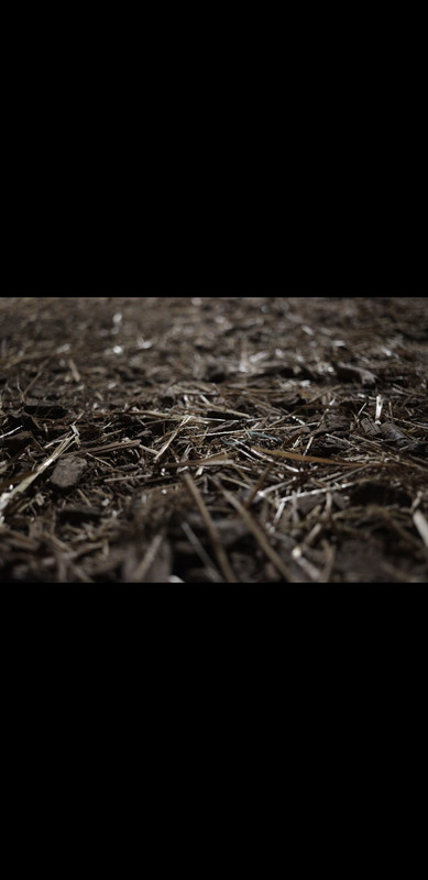 Screenshot 20260830 013437 Gallery