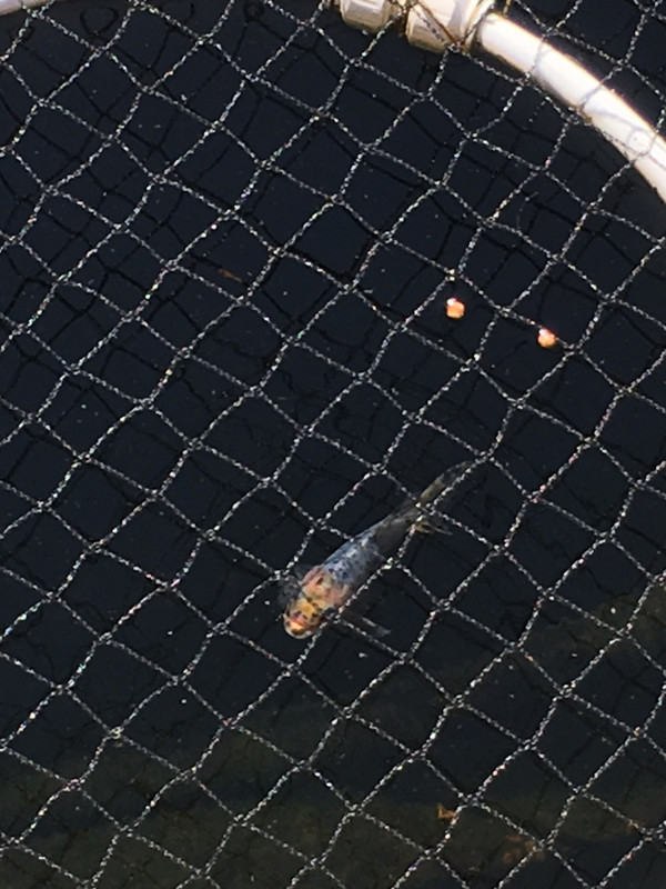 27434952-E27C-4C91-AC37-9974E83F8BC4