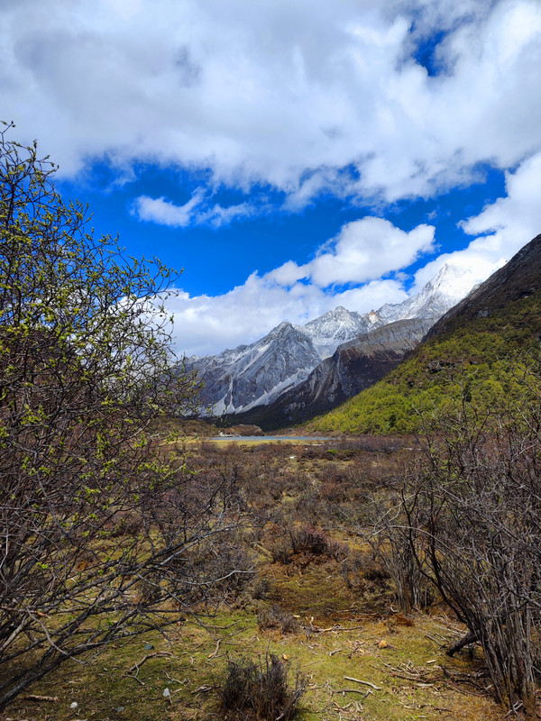 IMG_20230520_152616_副本