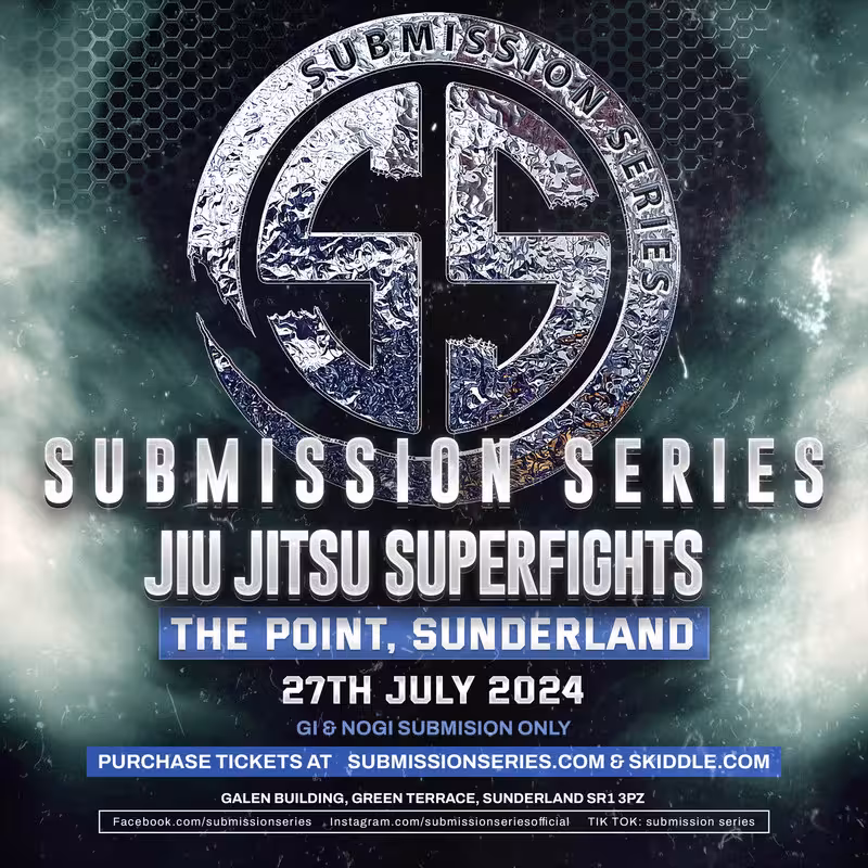 1743656-d536c839-submission-series-9-eflyer