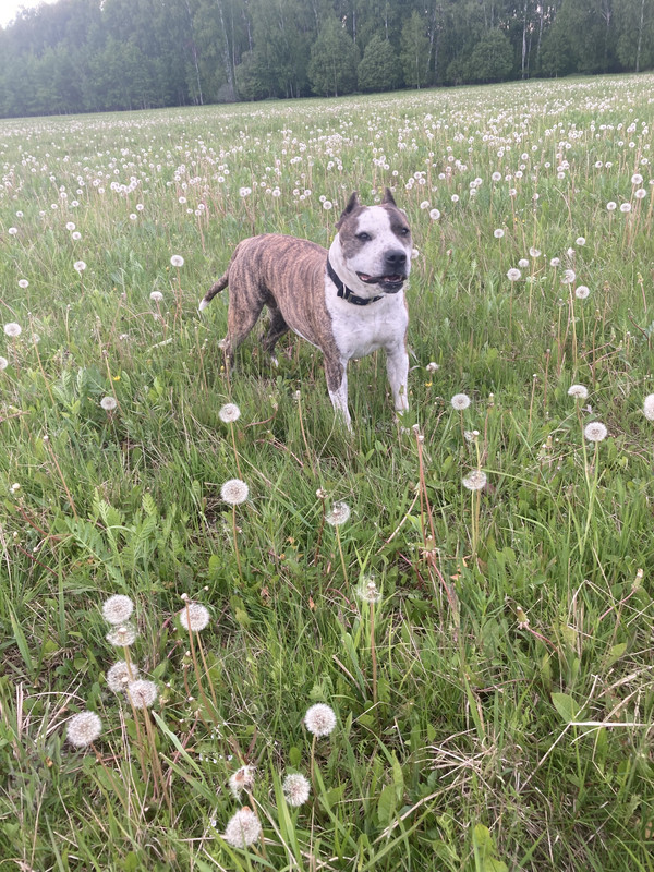 4609FFD9-512C-4E26-A695-A75A6A3F5424