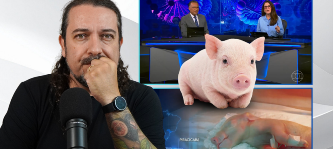 USP clona porco para órgãos e levanta debate ético