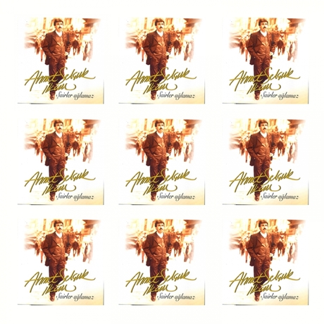 Ahmet Selçuk Ilkan - Sairler Aglamaz (1)