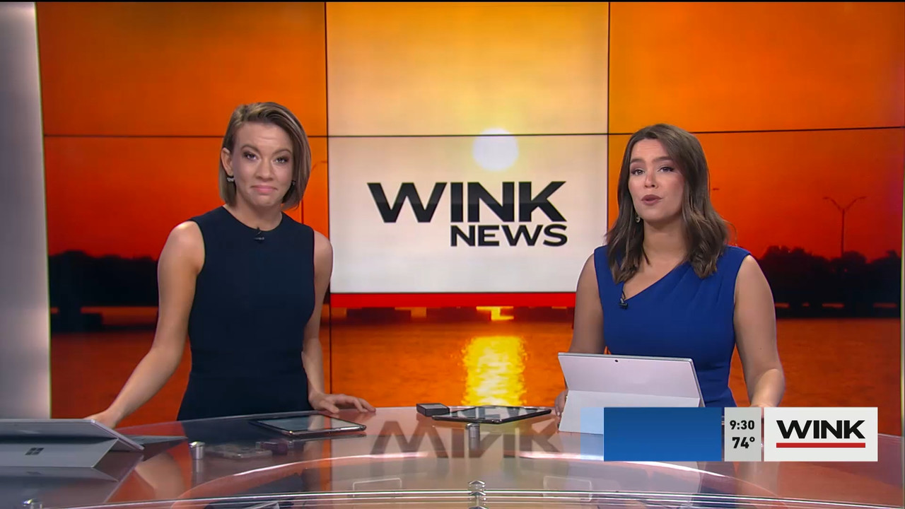 WINK News at 9 00 a.m. 2022_03_05_14_00_00.ts_snapshot_00.33.33.613