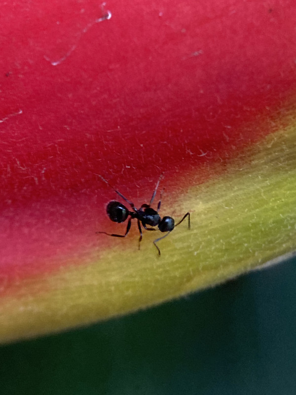 132916D2-D19E-4C49-A939-C1B6DD4F57E2