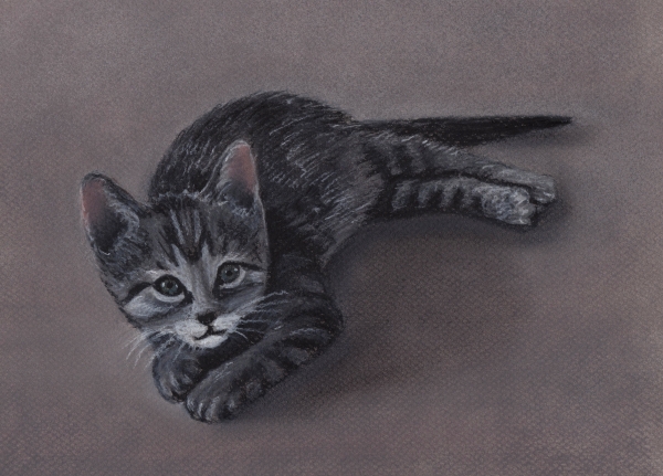 09-little-kitten-anastasiya-malakhova-004