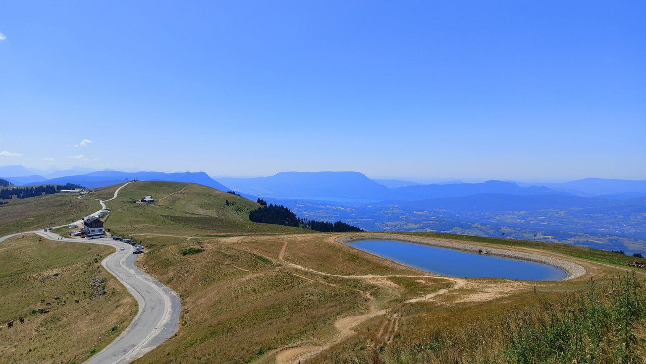 IMG20250711141438 (Large)