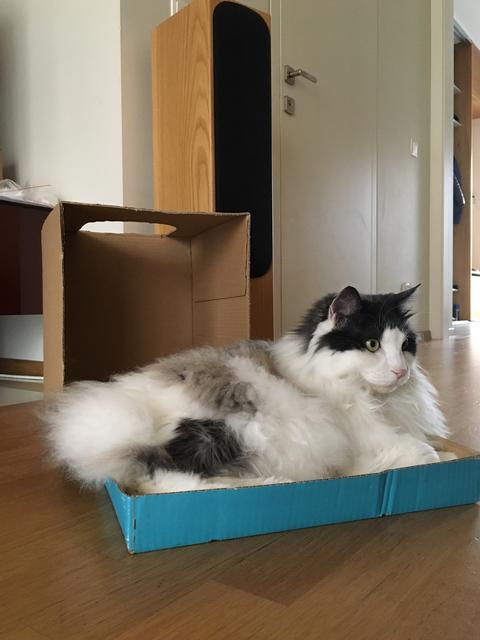 630-A33-A3-4943-44-C7-AB93-86-AB3-E07-A5