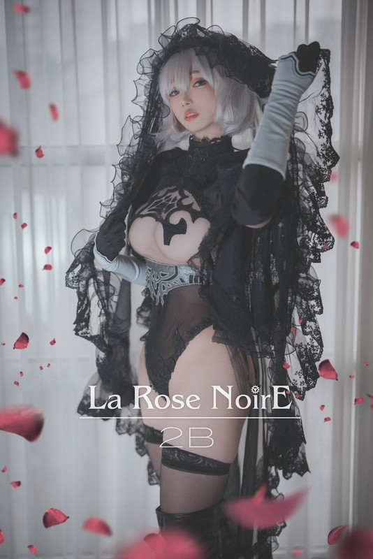 [Image: cover.jpg]