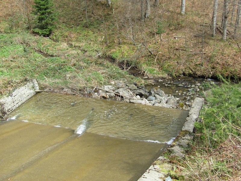 Slika