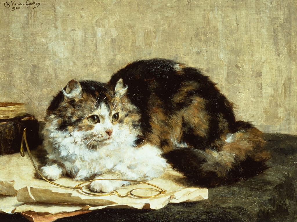 4-Charles-van-den-Eycken-A-Tabby-Cat-Meister-Drucke-1315981