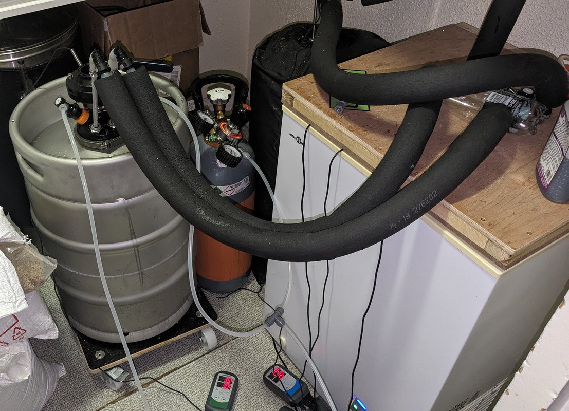 PXL_20240413_130202303