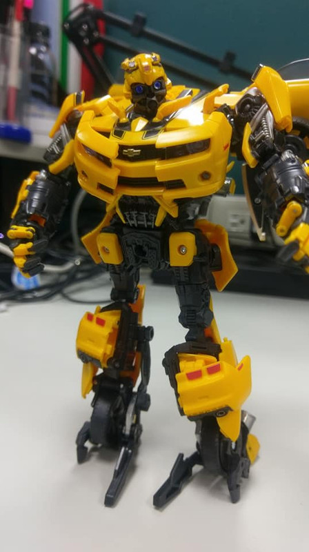 MPM-3-Bumblebee-14