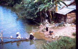 sang -  Dòng thơ họa của Nguyễn Thành Sáng &Tam Muội (3) 66010269-2275149099267563-6722004605745496064-n