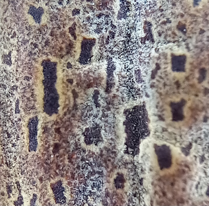 20250122-001550