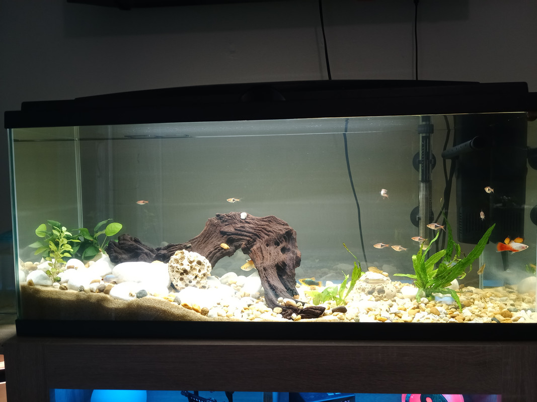 IMG_20240725_200517_714