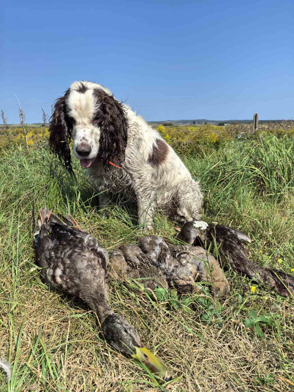 изображение_viber_2025-09-06_16-26-25-022