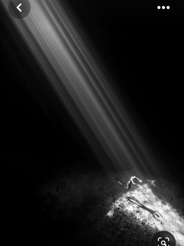 Screenshot_20230324_232115_Pinterest