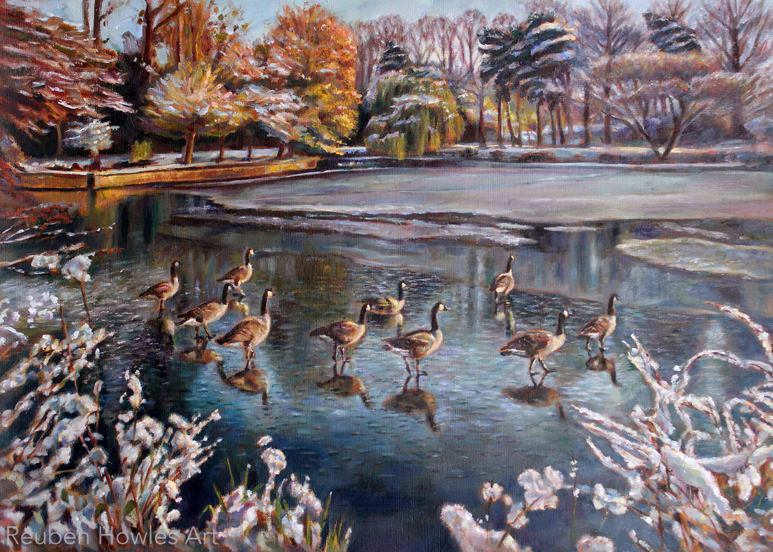 Geese on Ice