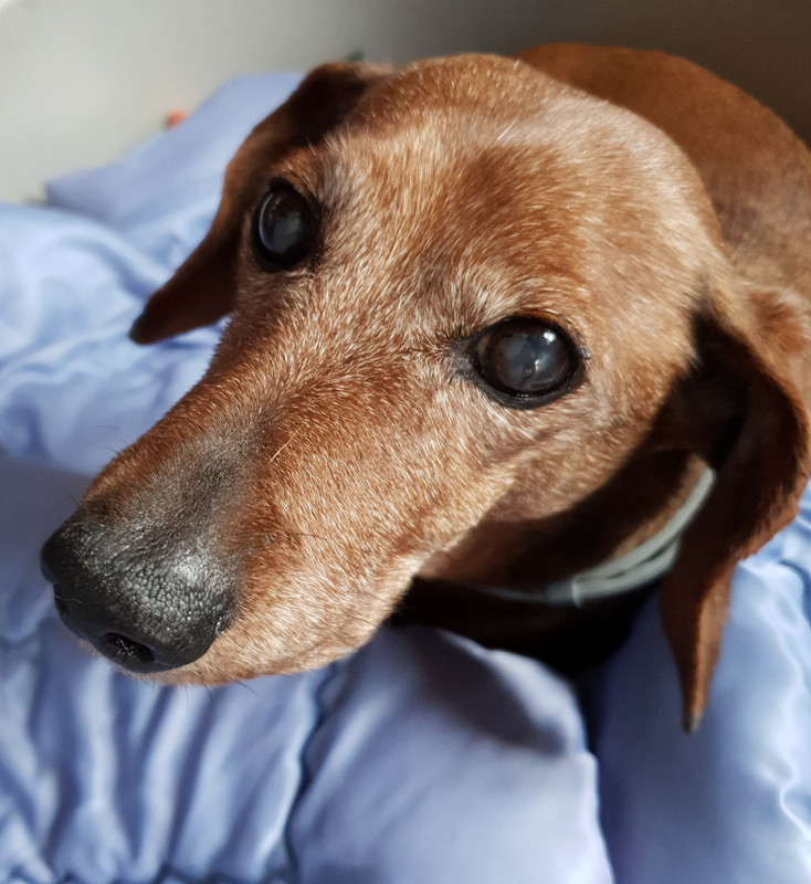 [Image: 20210327-160208.jpg]