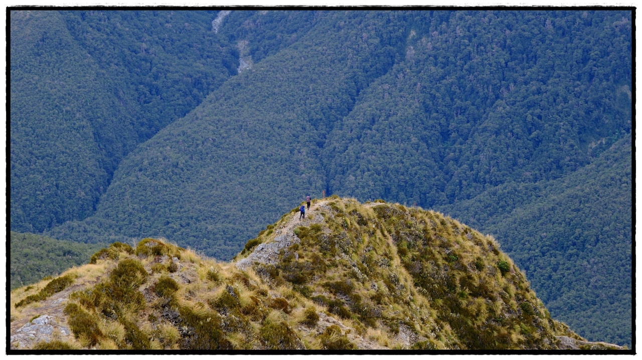 Mt Aspiring NP – Brewster hut & glacier (febrero 2026) - Escapadas y rutas por la Nueva Zelanda menos conocida (28)