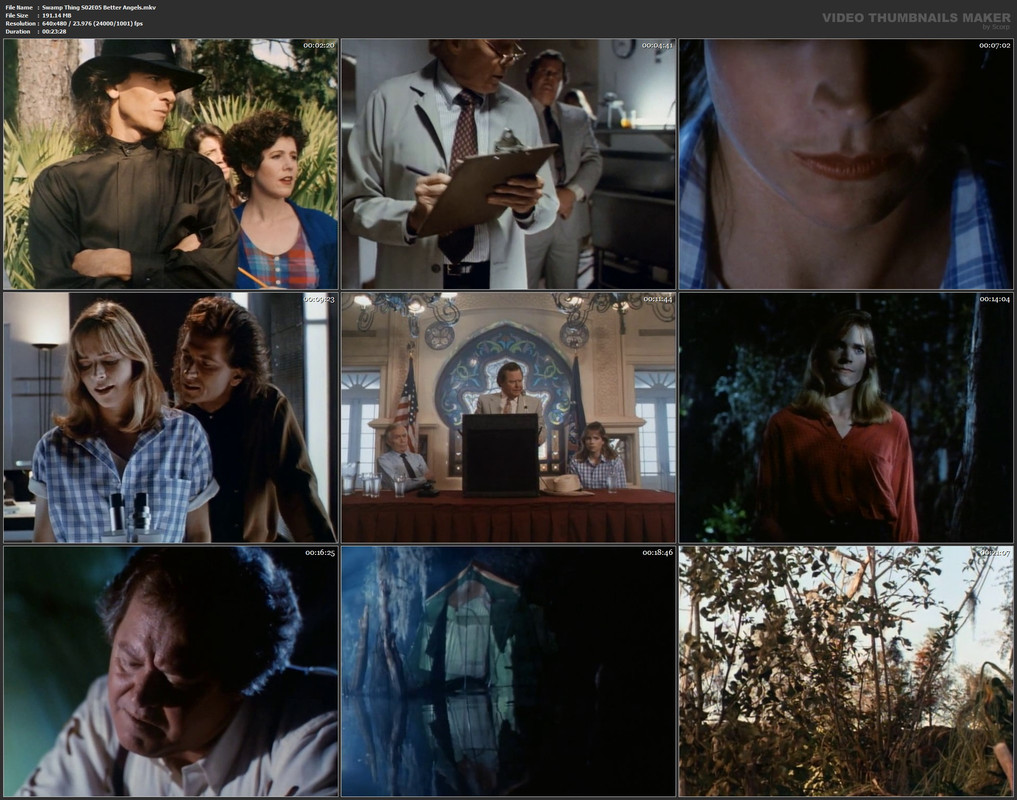 Swamp Thing S02E05 Better Angels.mkv