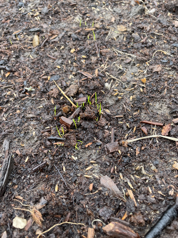 673E5E7E-AD17-455D-9994-45BCB6B00044