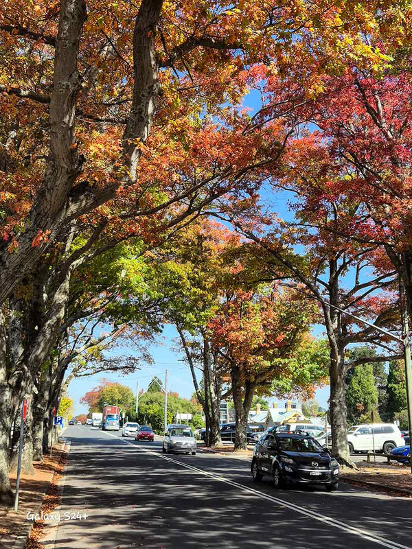 Autumn colour with blue skies