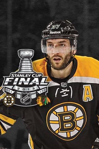 Bruins Bergie