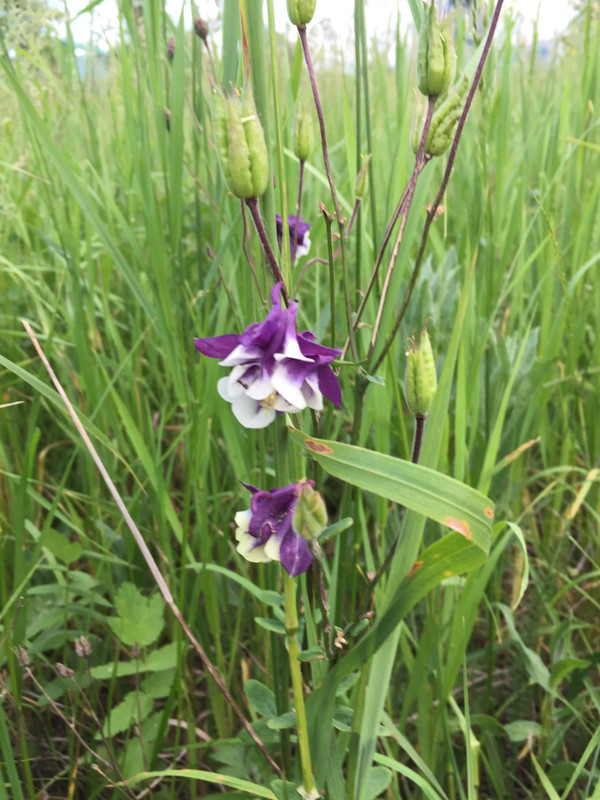 FCF57BBC-BAEA-4C62-89FD-2316A25E8568