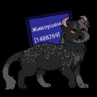 IMG_20250923_145032_171