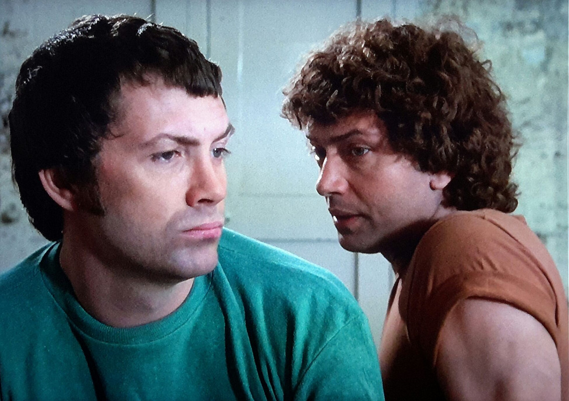 The Professionals