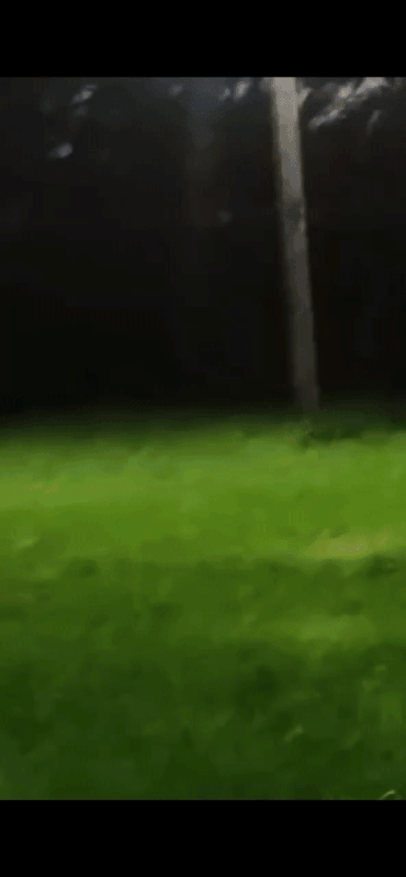 41-D324-CC-E9-C3-4-E8-B-BEAA-2-BE5896950-E2.gif