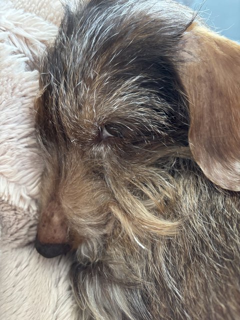 [Image: IMG-9694.jpg]