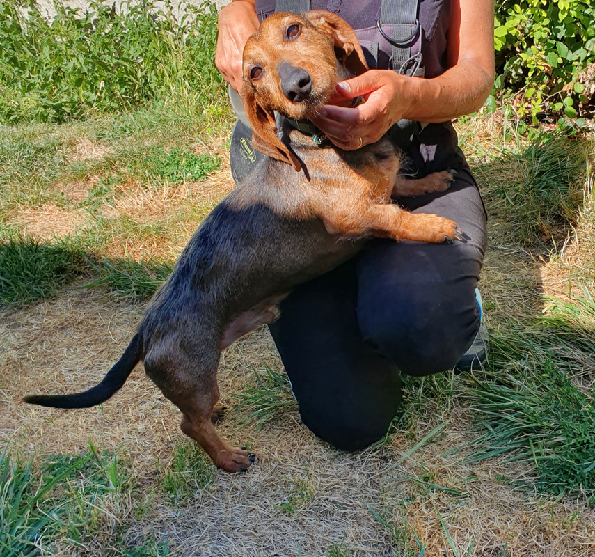 [Image: 20220809-223458.jpg]