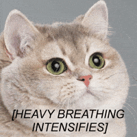 200w-6.gif