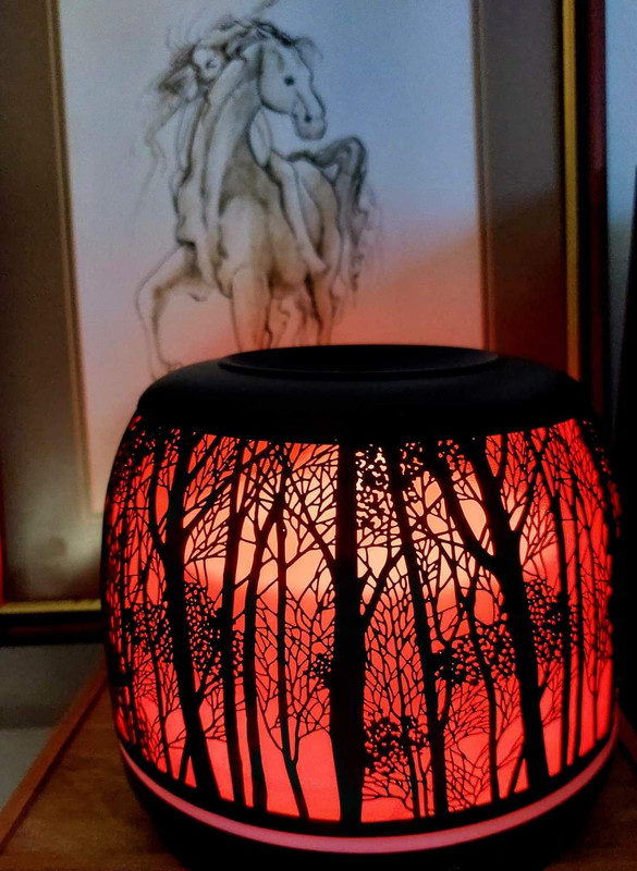 FB-IMG-1705823801903